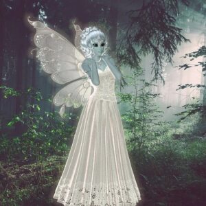 fairy